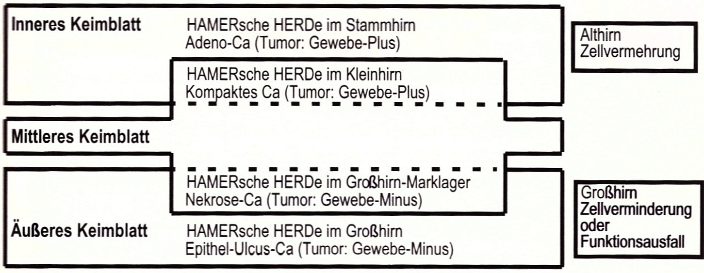 355 Schema Ordnung aller verschiedenen Geschwuelste und Schwellungen nach sog Keimblaettern