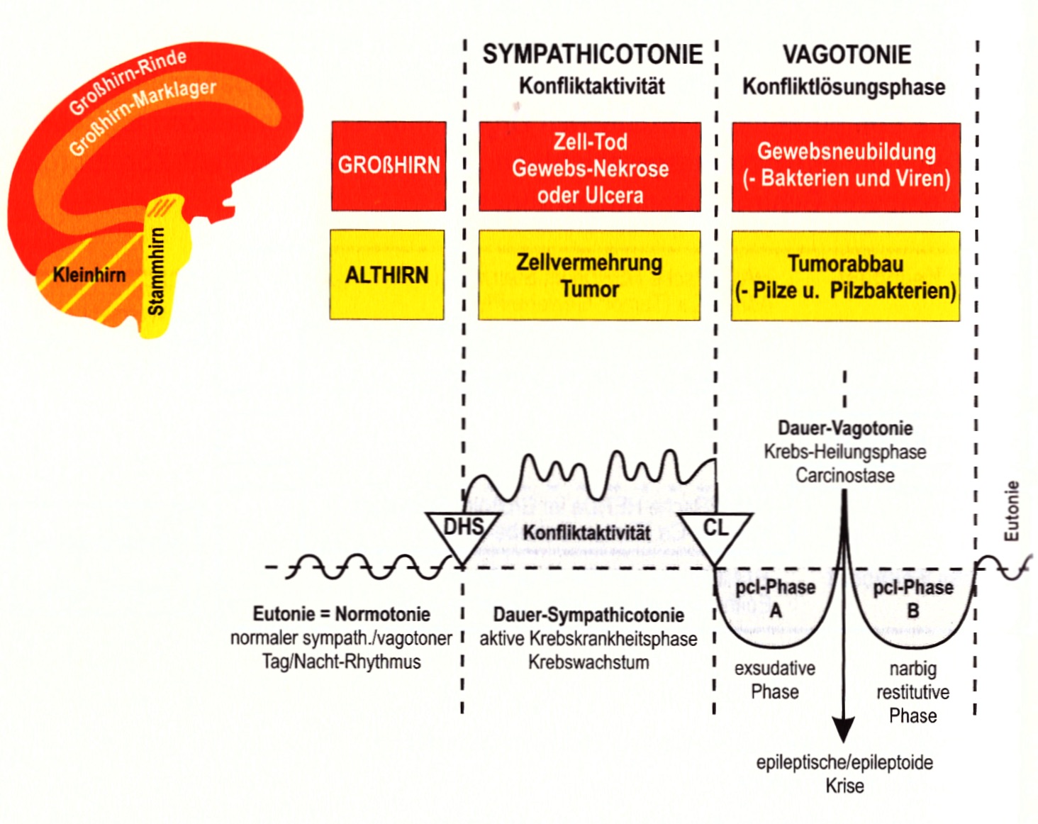 356 Der Hamerscher Kompass
